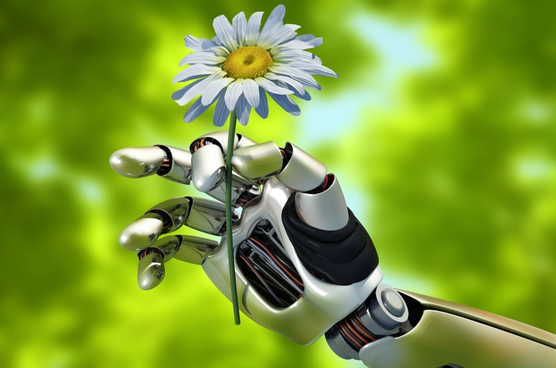 macro, gardening, plant, blur, flower head, beautiful background, bokeh, growth, freshness, close-up, petal, white color, robot, hi-tech, flowering plant