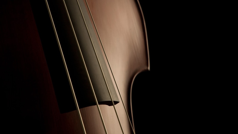 brown, string instrument, 2K, violin, dark, cello, black color, silver colored, shiny, copy space, single object, musical instrument string, luxury, arts culture and entertainment