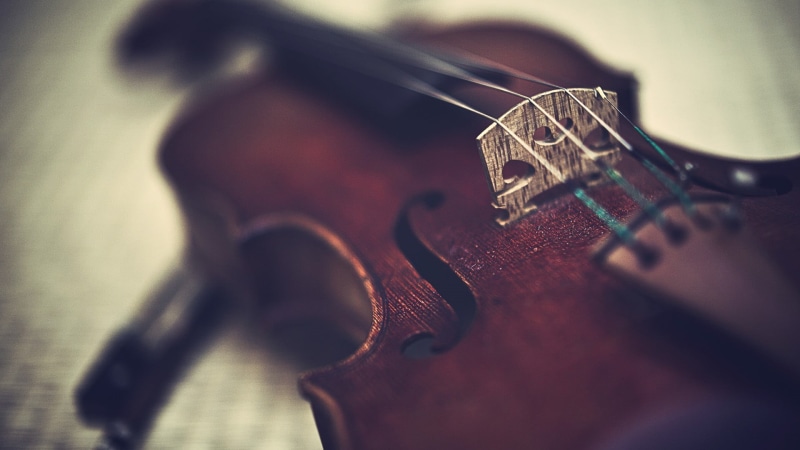 violin, single object, brown, simplicity, music, close-up, bow - musical equipment, musical instrument, wood - material, musical instrument string, selective focus