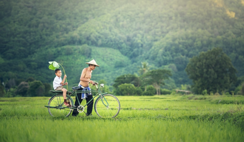 bicycle, parents, little, outdoors, field, summer, mode of transportation, transportation, bike, tree, happy, walk, water, kids, silhouette, joy, life
