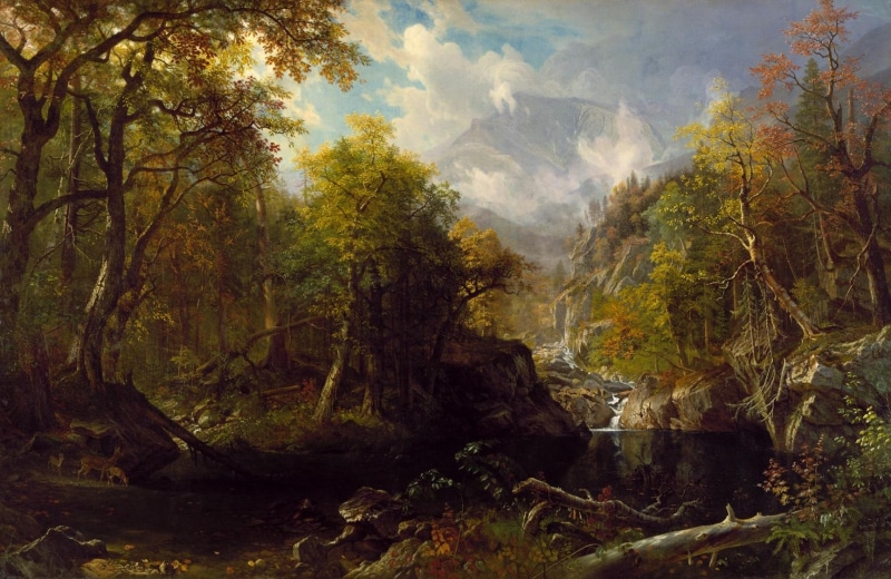 outdoors, forest, art, growth, autumn, fog, idyllic, river, albert bierstadt, 720P, clouds, woodland, land, flowing water, tranquil scene, oil on canvas