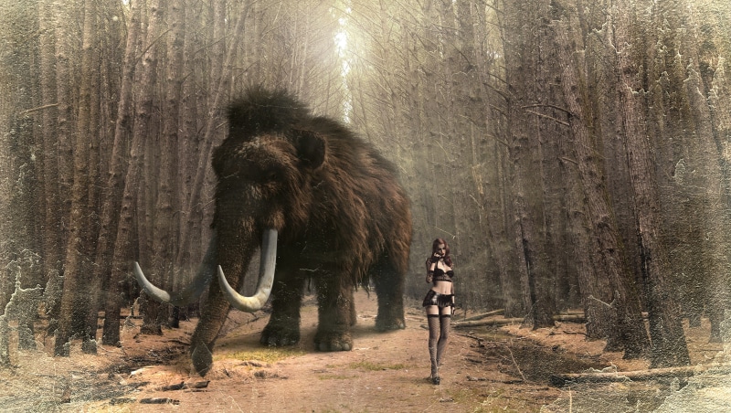 landscape, 4K, fantasy, one animal, brown, standing, day, mammal, forest, atmosphere, surreal, fantasy picture, vertebrate, dreams, nature, dream, animals in the wild