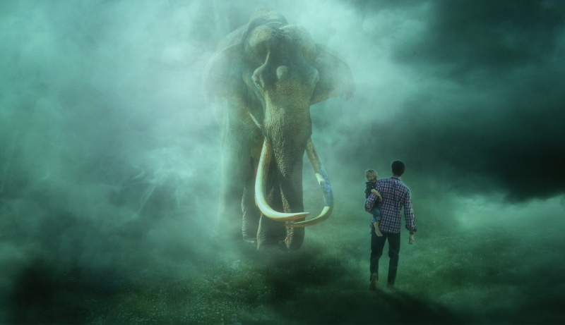 atmospheric, smoke - physical structure, fantastic, bonding, photomontage, offspring, lighting, fairy tales, togetherness, son, encounter, legendary, fantasy