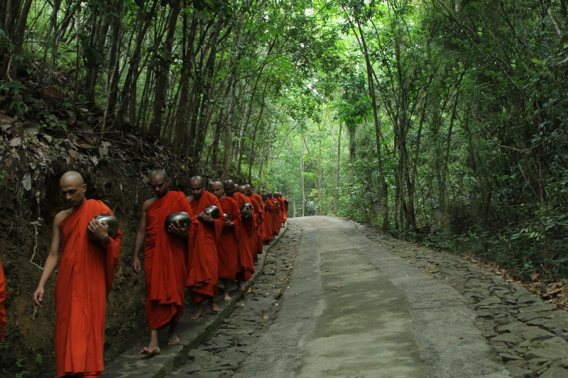wood, temple, nature, puja, thai, design, enjoy, the way forward, buddhist, group of people, diminishing perspective, travel, monks, sri lanka, 5K, orange