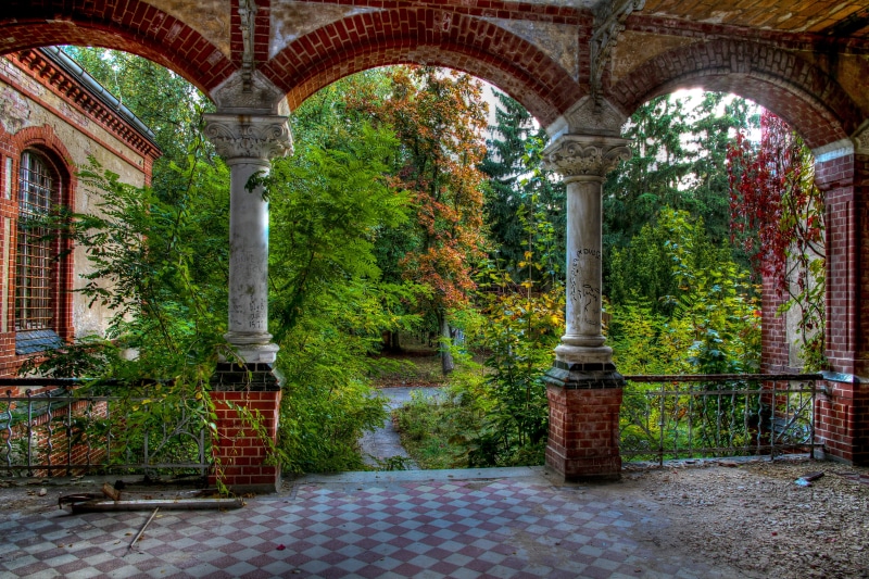 plant, history, built Structure, the past, clinic, Hospital, building Exterior, myth, green color, brown, mystical, arch, autumn, Lost, old, Beelitz, beauty