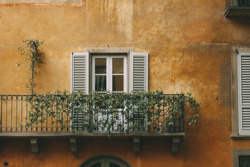 building exterior, window frame, wall, built structure, plant, door, vine, green color, 2K, wall - building feature, day, plants, brown, no people, green