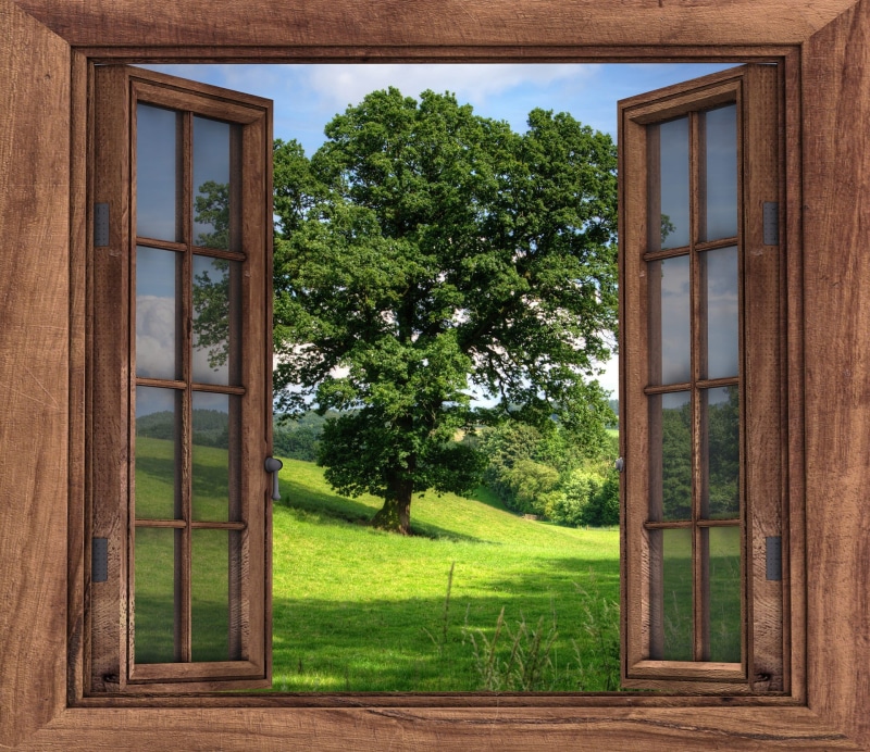 wood - material, closeup, wooden, countryside, view, summer, outdoors, building exterior, environment, season, leaf, grass, green color, scenic, window