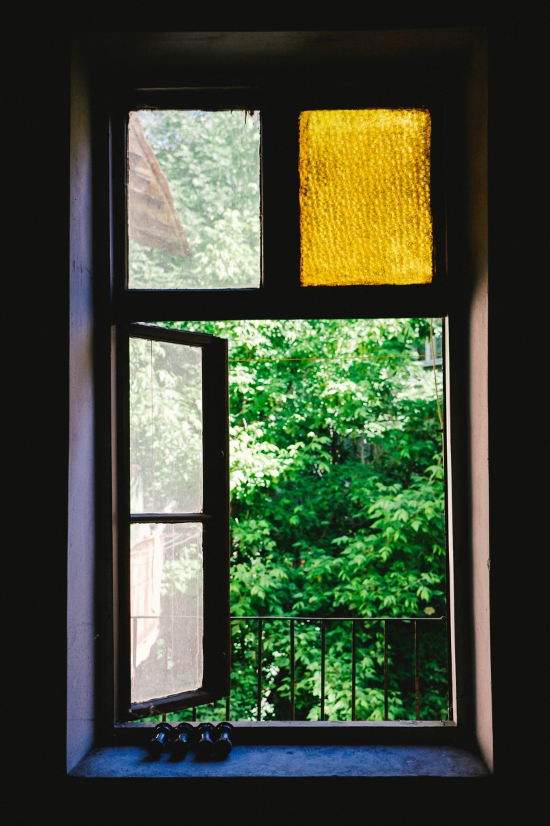 photo, nature, close-up, open, leafed, trees, home interior, frame, outside, tree, green, indoors, shape, pane, building, glass - Material, window Sill
