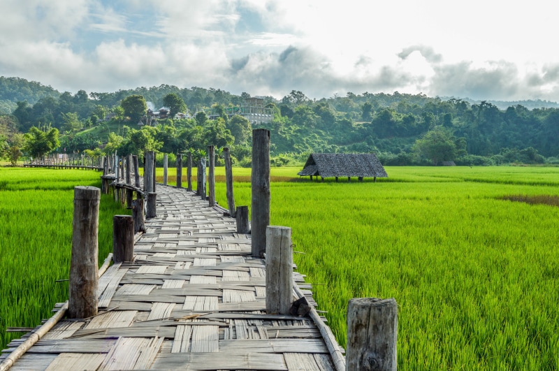 middle, bridge, sky, hut, farm, land, photo, day, outdoors, no people, agriculture, clouds, tim, landscape, green color, plant, 5K, wood, pathway, mountain