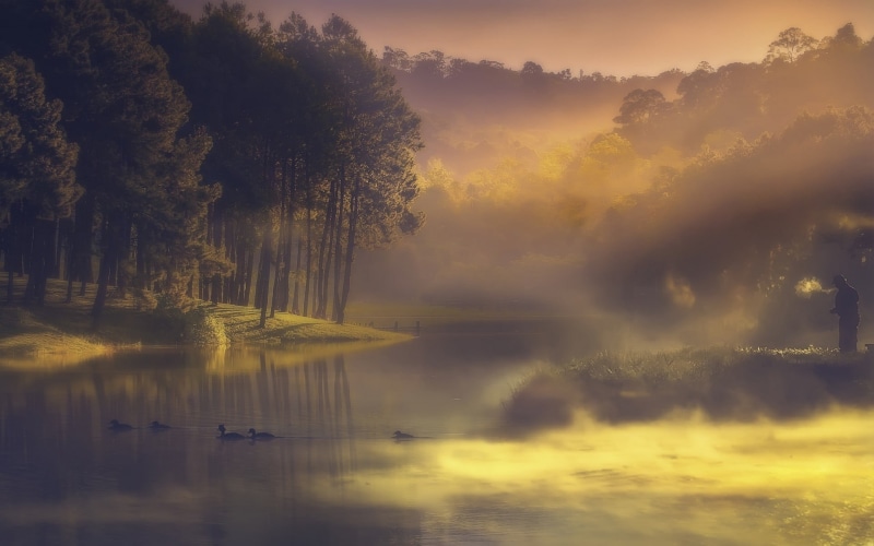 1080P, sky, landscape, surrounded, tree, water, non-urban scene, reflection, person, beauty in nature, scenics - nature, idyllic, duck, tranquil scene