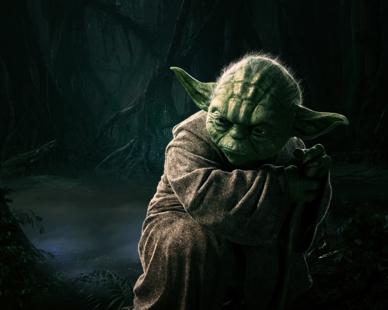 Male, Trees, animal wildlife, Man, mature adult, Joda, 20th Century Fox, Sci-Fi, Episode V, holding, Adventure, StarWars, Wood, casual clothing, Film, 4K
