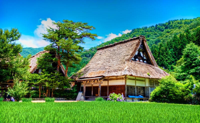 japanese farmhouse, house, tree, Japanese House, rural scene, Chubu, beautiful day, Photomatix Pro, plant, built structure, grass, blue, green color, no people