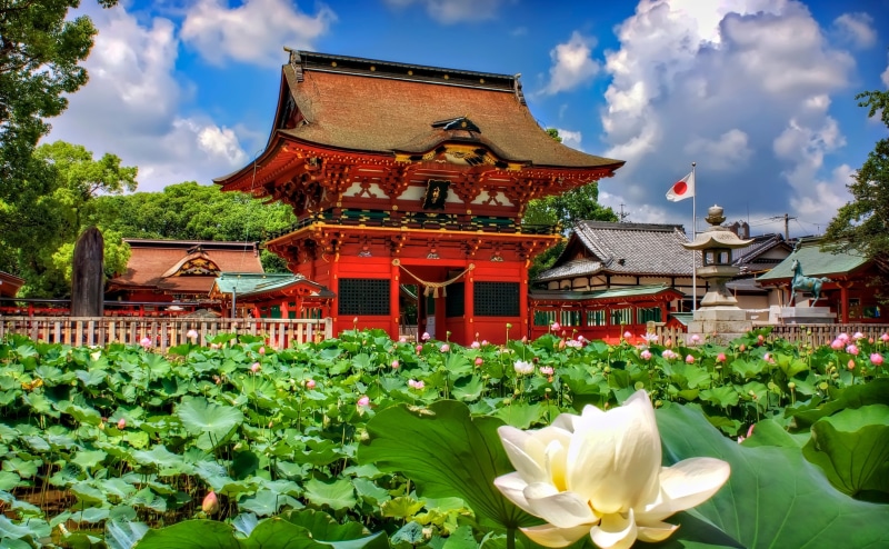 4K, flowering plant, Flowers, Summer, cloud - sky, Iga Hachiman Shrine, Photoshop, lotuses, Gate, spirituality, flower, Blue, built structure, nature