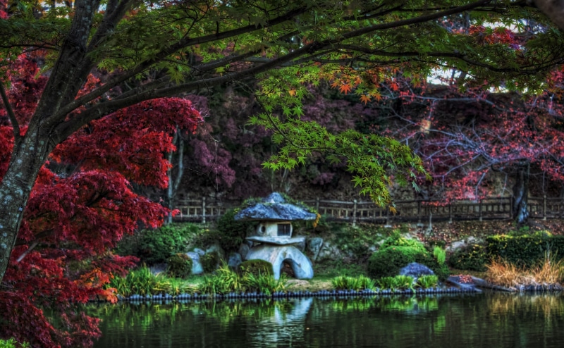 trees, growth, Aperture, bridge - man made structure, park - man made space, toro, Okazaki City, Topaz Adjust, green, bridge, Aichi Prefecture, no people