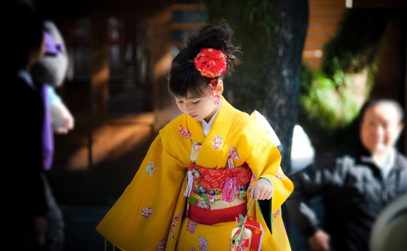4K, Shrine, traditional clothing, costume, Chubu, group of people, red, childhood, Honshu, leisure activity, Owari, standing, go, clothing, shichi, Aichi