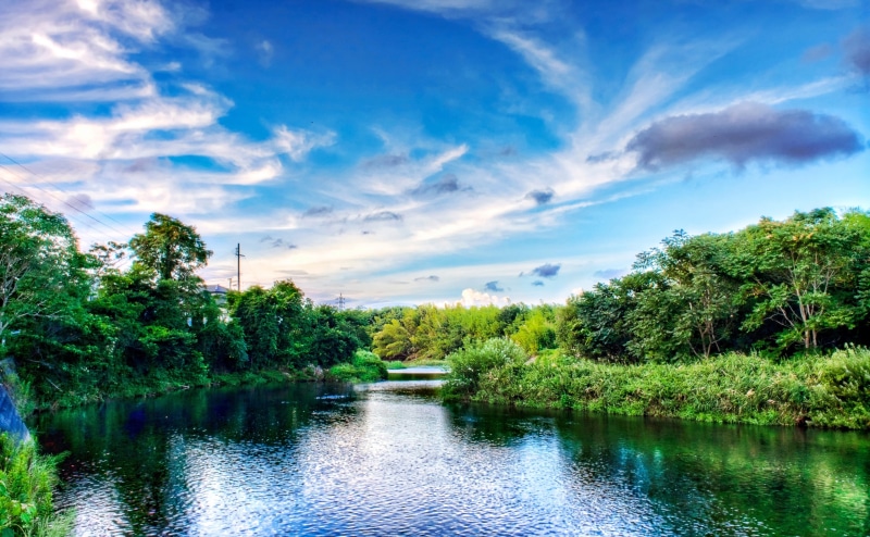 outdoors, Japan, beauty in nature, plant, day, Okazaki City, Topaz Adjust, Photomatix Pro, river, tranquility, Chubu, waterfront, Asia, growth, canon, Green