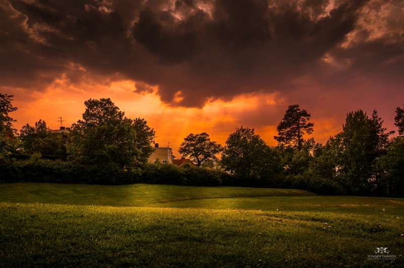 Landscape, sunrise - Dawn, Sea, Forest, Urban, sky, 4K, green grass, Tree, Sigma, Mälaren, rural Scene, Stockholm County, Sony, Grass, morning, Sweden