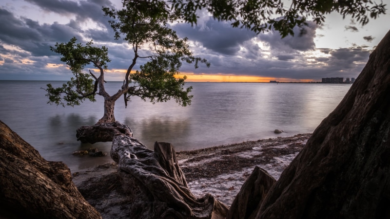 beach, Sunset, sun, sea, skyline, Miami, xpro2, sky, fine art, key, prints, clouds, miami, united states, travel, leafed, beautiful, Florida, tree, calm