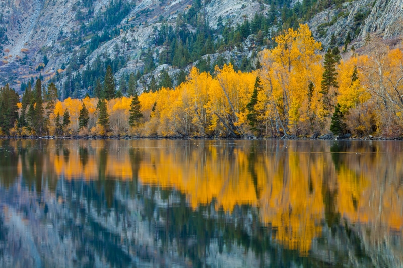 5K, Trees, silver, tree, water, near, leaf, landscape, Fall  Lake, scenics, nature, California, photography, Silver Lake, Reflection, autumn, landscape photography