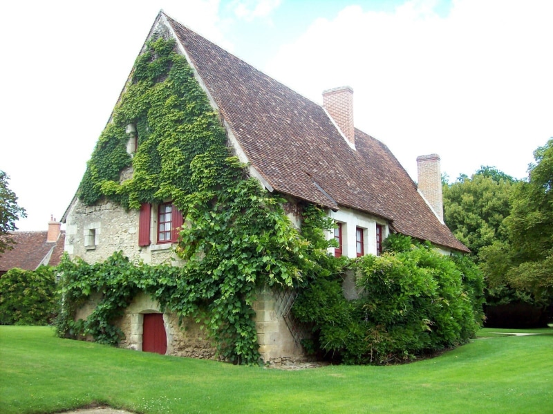 daytime, spring, rural Scene, summer, plants, lawn, roof, cloudy, leaf, cottage, old, outdoors, cloud - sky, white, plant, tree, gray, residential Building