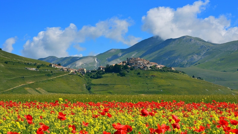 yellow, castle, flower, plant, land, flowers, sky, village, flowering plant, hills, environment, mountain range, outdoors, field, mountain, mountains, 1080P