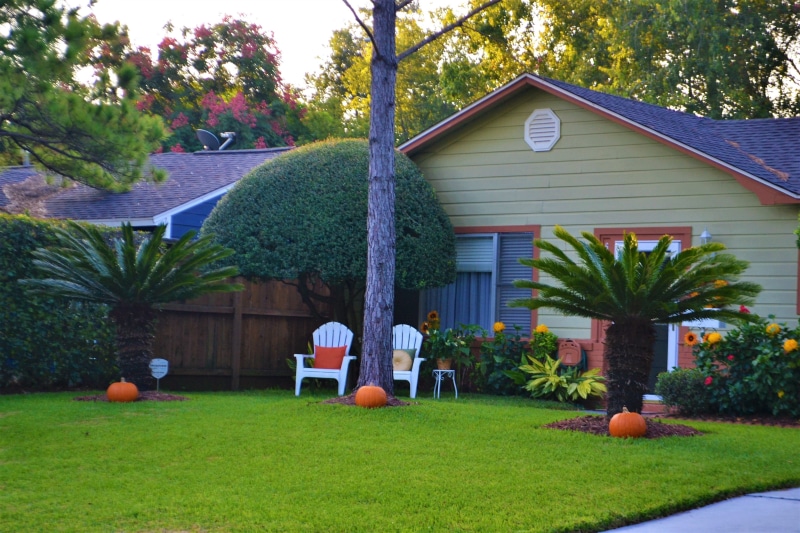 traditional, holiday, insurance, groomed, home owner, flowers, achievement, green, park, houston, retire, garden, family, nature, clear sky, plant, lawn chair