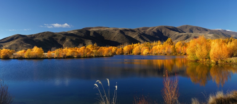 nature, near, yellow, tree, beauty In Nature, reflection, CC0, scenics, mountain, water, 1080P, sky, body of water, autumn, outdoors, body, NZ, trees