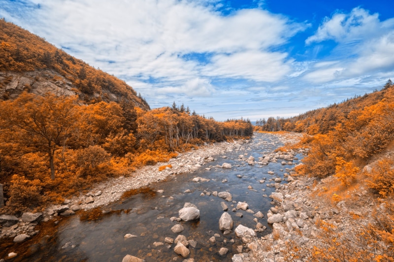 shoreline, leaf, creek, scenics, background, orange, scenery, beauty In Nature, coastal, photography, resource, forest, nature, ca, beautiful, cyan, landscape photography