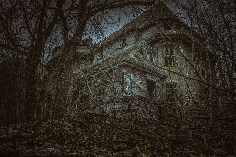 tree, old, low angle view, plant, forget, hospital, lost place, obsolete, uninhabited, leave, lost, land, dark, building, destruction, homes, gloomy, concrete