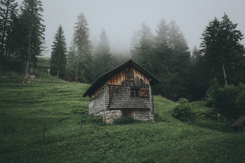 cottage, cabin, Chill Out, mist, growth, brown, no people, non-urban scene, surrounded, green color, green, 1080P, wood - material, woodland, grass, nature