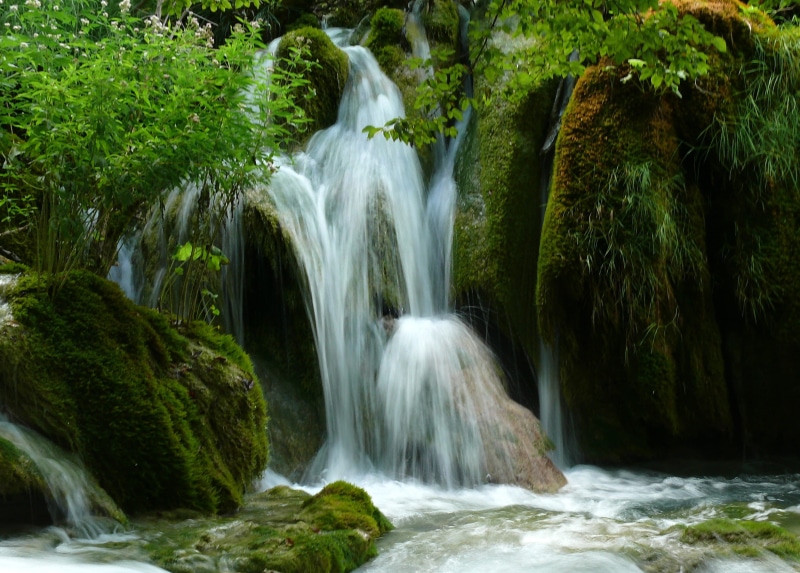 green, rock - Object, falling, freshness, waterfalls, leaf, outdoors, plant, nature, stream - flowing water, lake, tropical Climate, unesco, mosses, forest