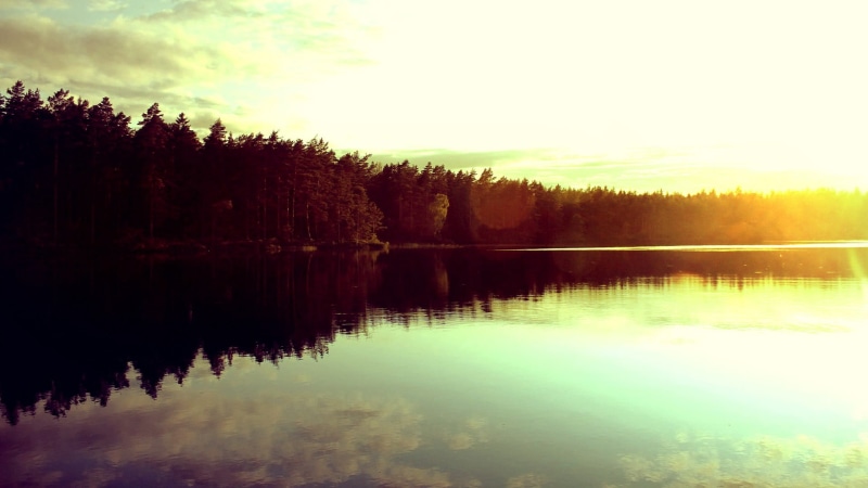 nature, outdoors, plant, day, non-urban scene, tranquility, reflection, lake, waterfront, beauty in nature, 1080P, tree, reflection lake, idyllic, surrounded