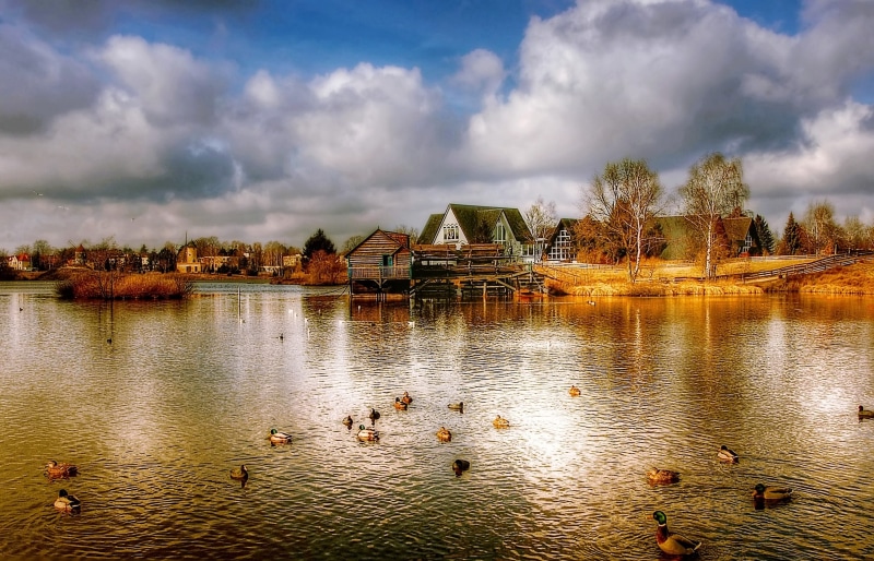 Mill, animals in the wild, windmill, rural Scene, cloud - Sky, lake, lower saxony, brown, destination, pond, mill museum, animal, historically, built structure