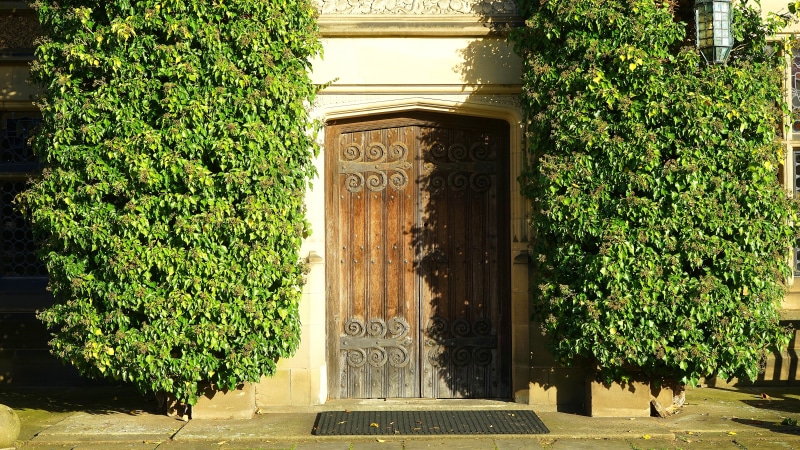 park, traditional, estate, manor, wood, 5K, creativity, design, house, brown, bas relief, doorway, garden, art and craft, side, architectural column, growth