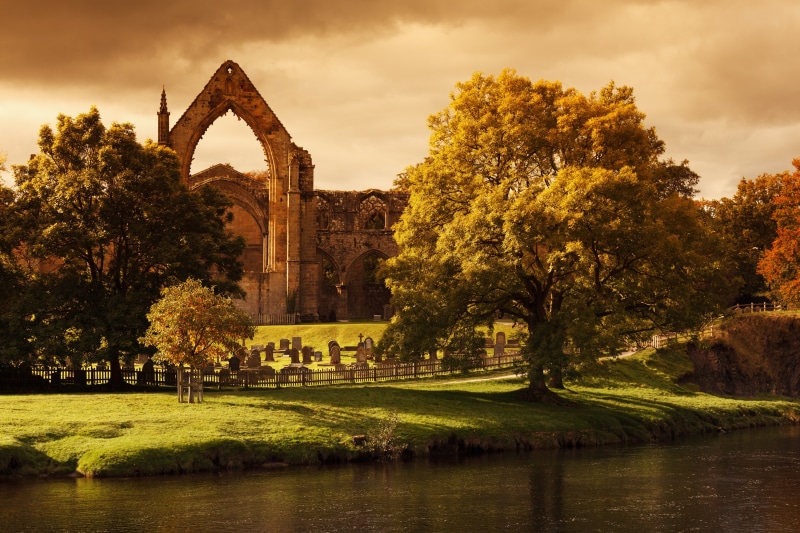 ancient, england, beside, tourism, no people, concrete, ruin, yorkshire, monastery, plant, building exterior, lake, outdoors, green color, grass, body