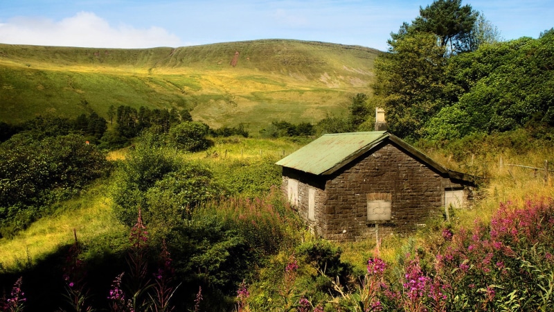 shed, land, trees, farm building, landscape, village, city, 1080P, grass, structure, building exterior, outdoor, rural, tourism, hovel, travel, day, nature