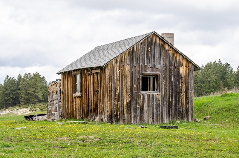 country, old, barn, forest, historic, building exterior, land, weathered, wilderness, door, rural, green color, nature, rural Scene, architecture, green