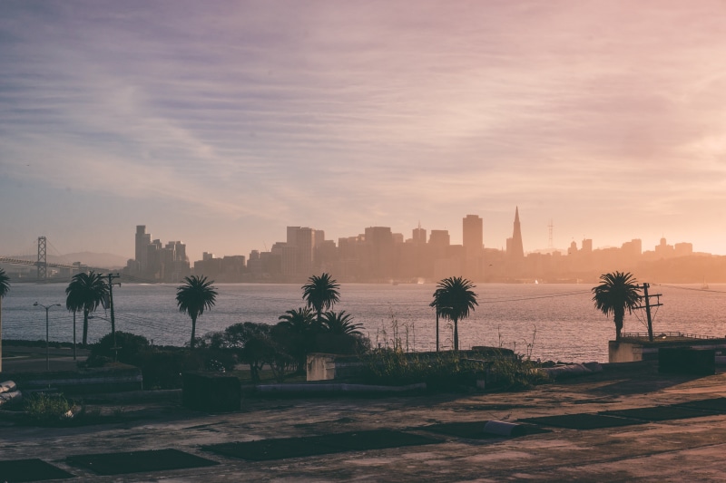 industry, palm, california, nature, daybreak, line, high rises, towers, plant, beauty in nature, built structure, urban skyline, coconut palm tree, office building exterior