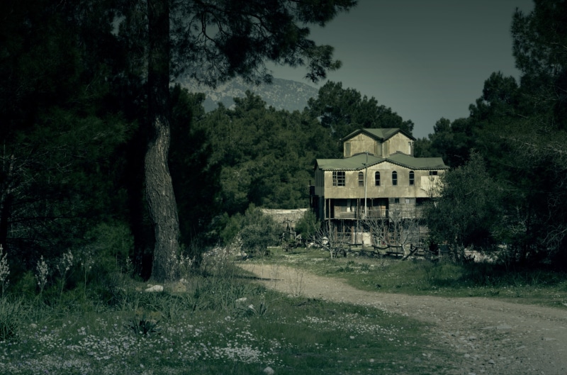 day, spooky, scary, ghost, trees, creepy, vintage, dark, mystery, surrounded, spirit, tranquility, building, broken, photo, 4K, green color, built structure