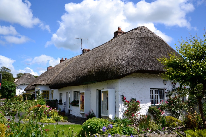 home, flower, beauty in nature, old, building Exterior, photography, flowering plant, built Structure, rural Scene, plant, architecture And Buildings, reed