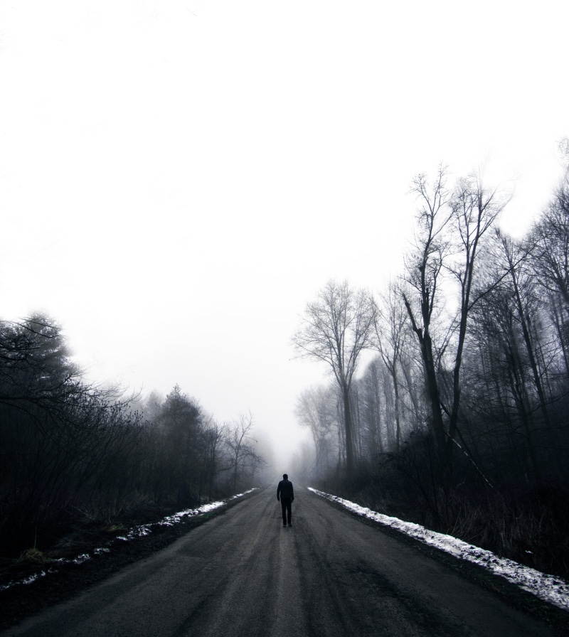 dark, cold temperature, transportation, outdoor, man, land, the way forward, plant, walking, fog, weather, full length, travel, diminishing perspective