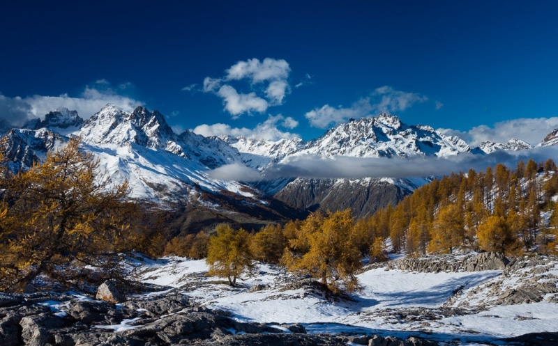 trees, snowcapped mountain, green, snow, beauty in nature, tranquil scene, landscape, 720P, mountains, mountain range, nature, day, winter, tranquility