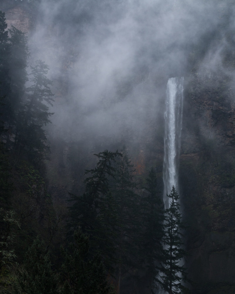  tree, leafed, green, trees, land, tranquil scene, pine, nature, misty, surrounded, sky, day, waterfall, tranquility, no people, forest, smog