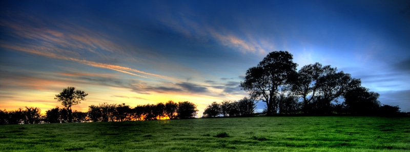 season, field, England, forest, sun, summer, dusk, grass field, HDR, sunlight, sunset, green, scenics, light, trees, UK, green grass, Yorkshire Dales, 2K
