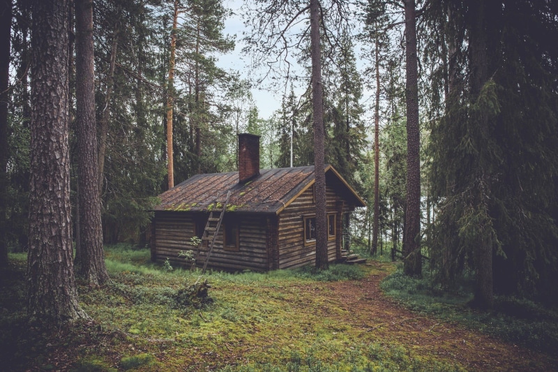 outdoors, cabin, tranquility, grass, tranquil scene, trunk, non-urban scene, building exterior, beauty in nature, tree, woodland, wooden, house, wood - material