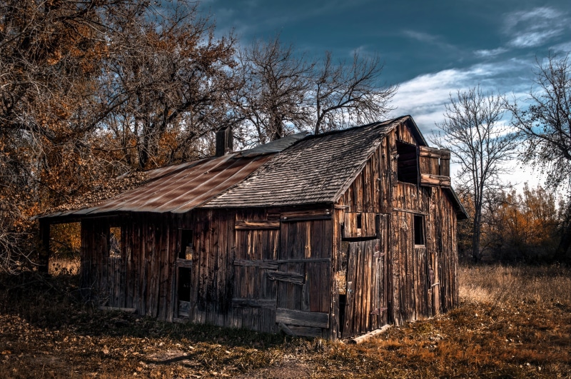 old, rural, fall, old-fashioned, sky, building, cabin, boxelder, weathered, trees, farm, rustic, obsolete, rural Scene, wooden, outdoors, built structure