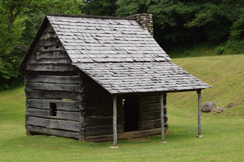 settler, log, green color, green, building, no people, cottage, building exterior, rough, green leaf, shed, nature, historic, roof, surrounded, wooden