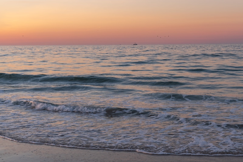 nature, robert moses state park - long island, 4K, beach, motion, beauty in nature, scenics - nature, aquatic sport, waves, land, sea, atlantic, wave