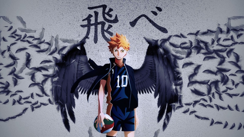 1080P, Haikyū!!, Karasuno High, Haikyu!!, Feather, Shōyō Hinata, Anime