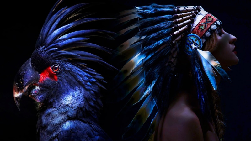 indian, darkness, native, feather, shamanic, shaman, bird, 1080P, native american, parrot